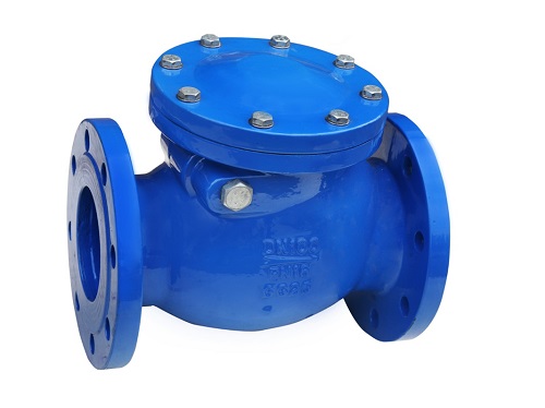 swing check valve